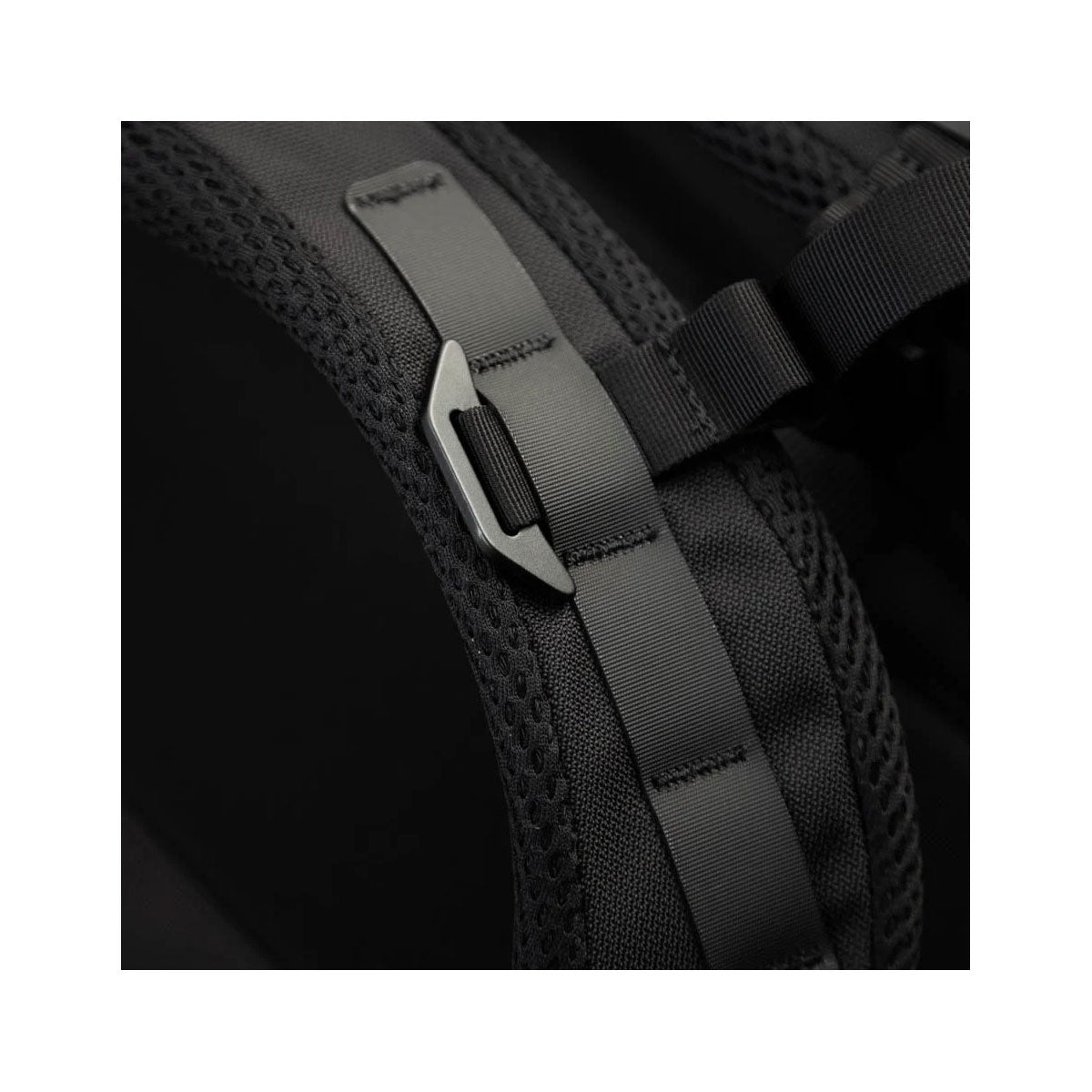 Black Ember : Citadel_R3 25 : Jet Black