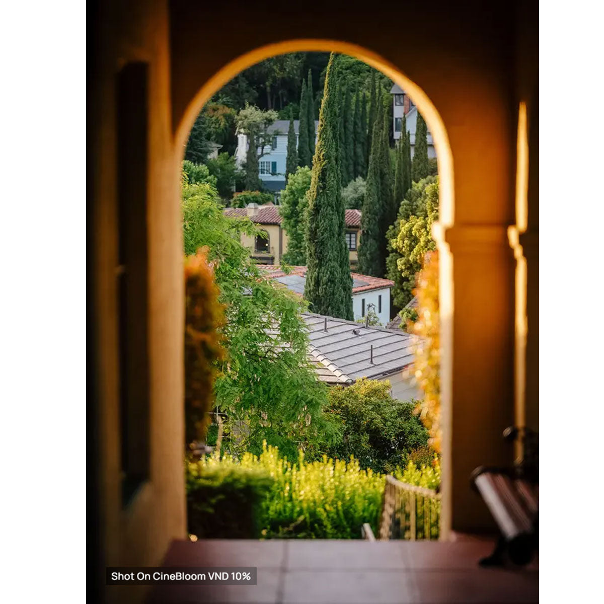 Moment : CineBloom Variable ND Filters 67MM