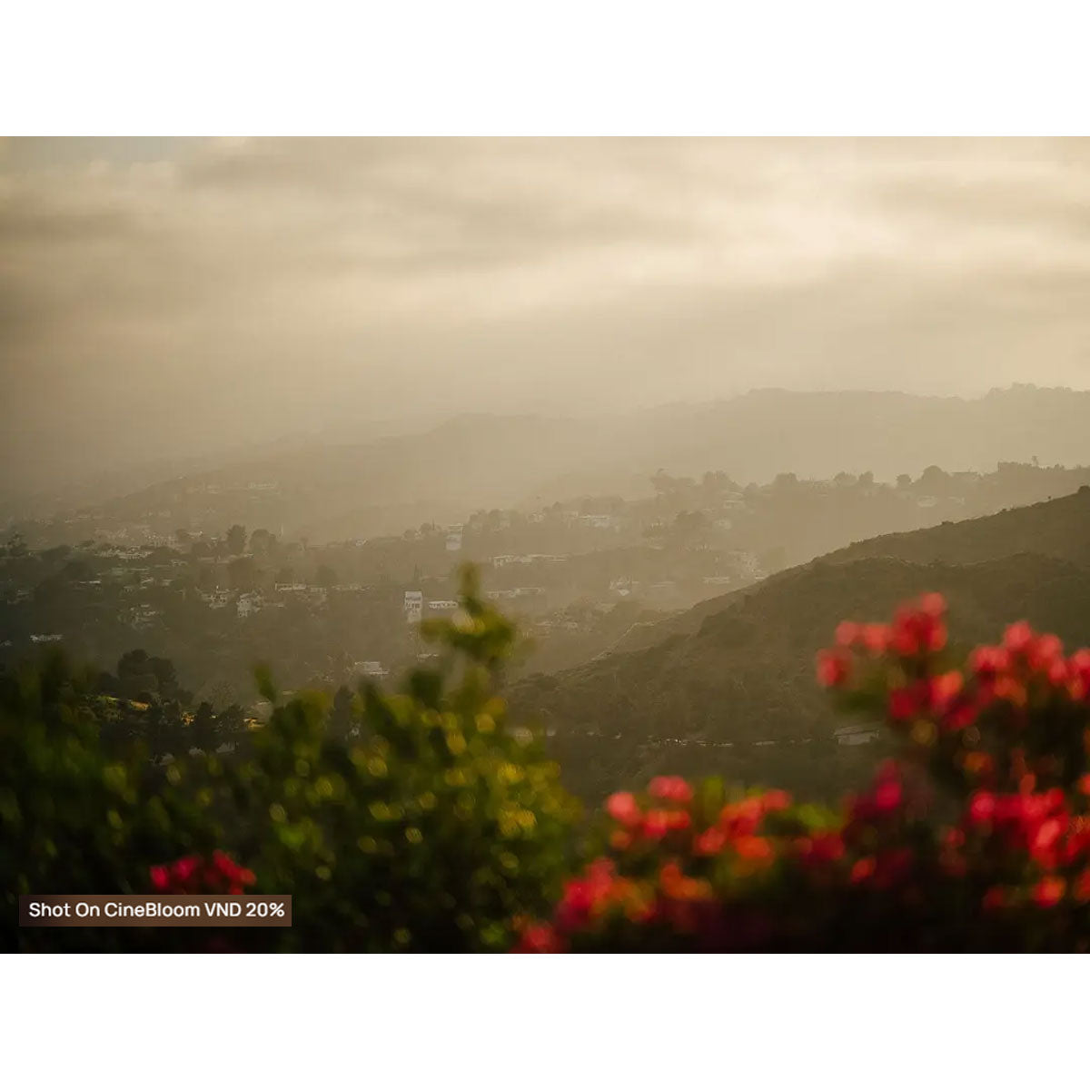 Moment : CineBloom Variable ND Filters 67MM