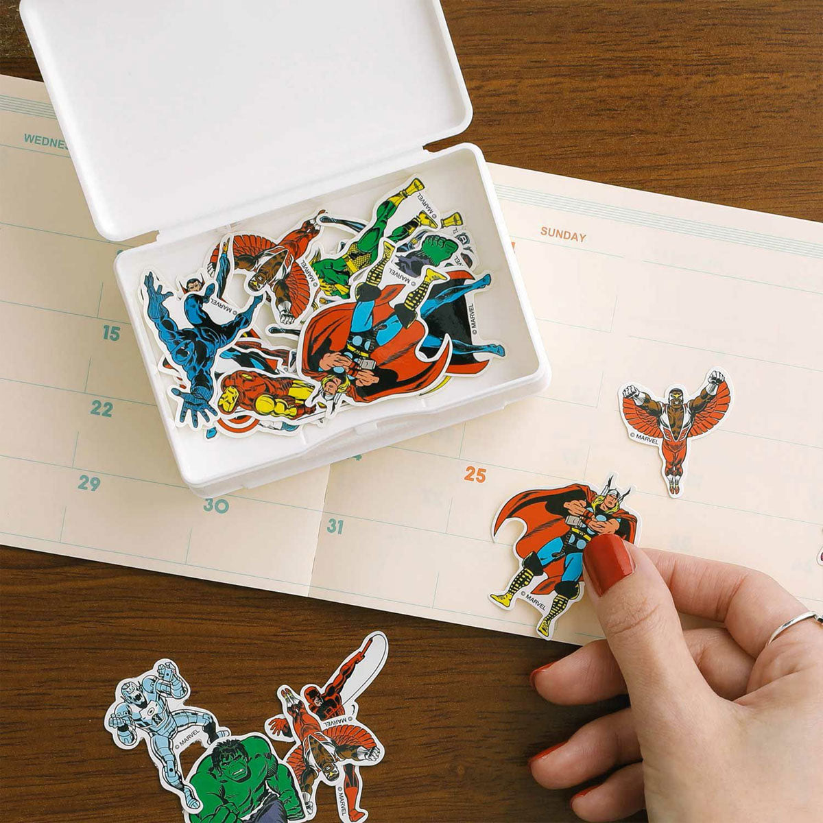 Penco : Storage Container Double Side